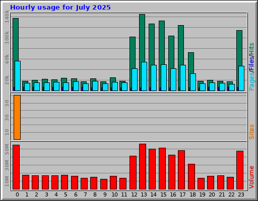 Hourly usage for July 2025