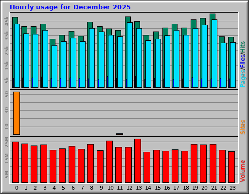 Hourly usage for December 2025